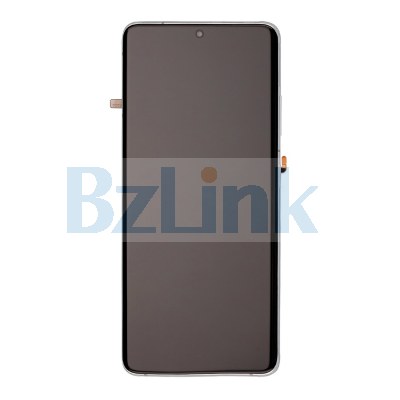 OLED Screen Assembly with Frame - Phantom Silver for Samsung Galaxy S21 Ultra