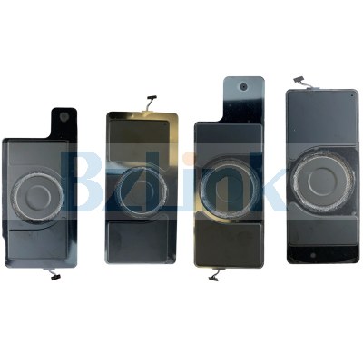 Loud Speaker Buzzer Ringer Flex Cable for iPad Pro 12.9 3rd 2018 A1876 A2014 A1895 A1983